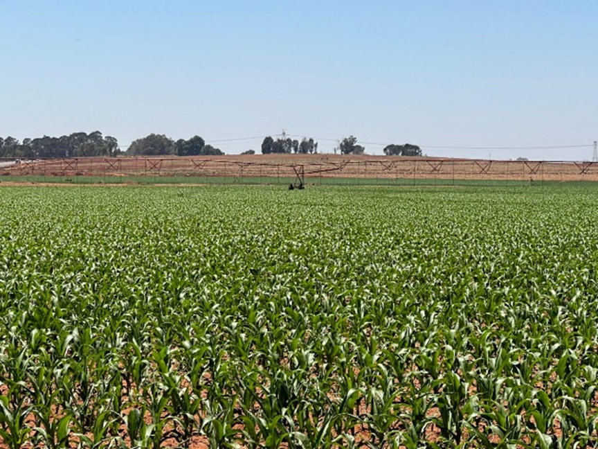Benefits in Agriculture