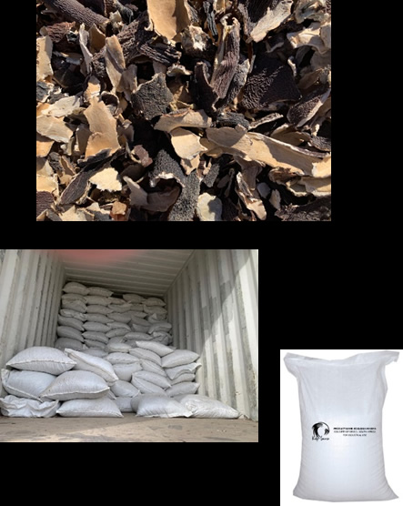 Uses of Sun-Dried Beach-Cast Kelp
